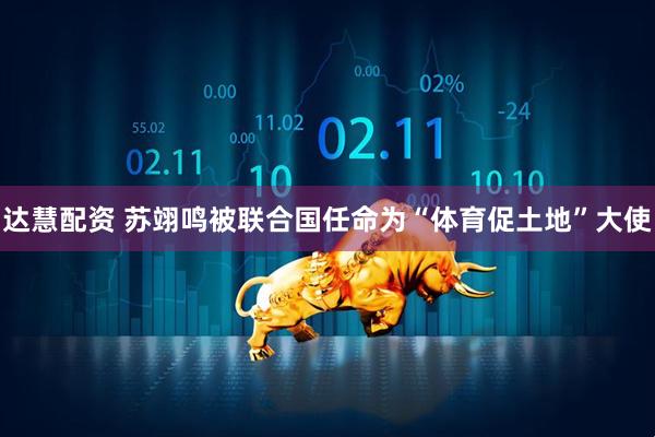 达慧配资 苏翊鸣被联合国任命为“体育促土地”大使
