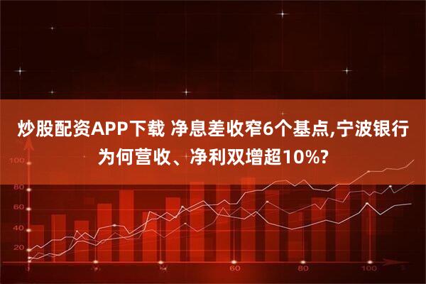 炒股配资APP下载 净息差收窄6个基点,宁波银行为何营收、净利双增超10%?